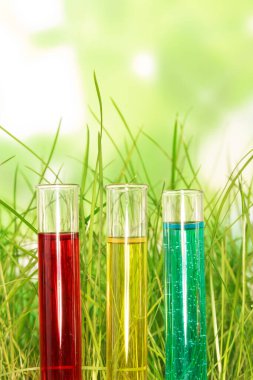 Soyut yeşil arka planda çimenlerin üzerinde renkli sıvılar bulunan üç test tüpü..