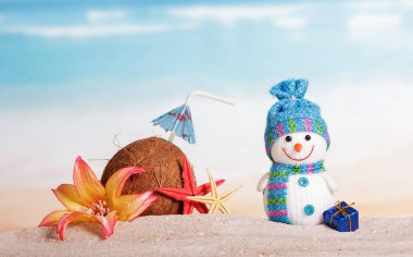Hindistan cevizi, denizyıldızı, çiçek, kardan adam ve Noel hediyesi kumda denize karşı.