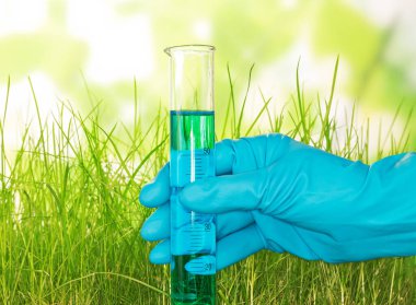 Elle test tüpünü sıvı ile tutarken, çimenler soyut yeşil arka planda..