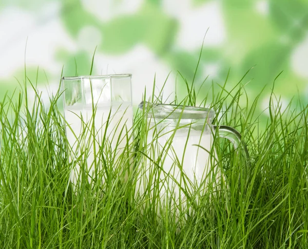 Krug Und Glas Frische Milch Gras Auf Abstrakt Grünem Hintergrund — Stockfoto