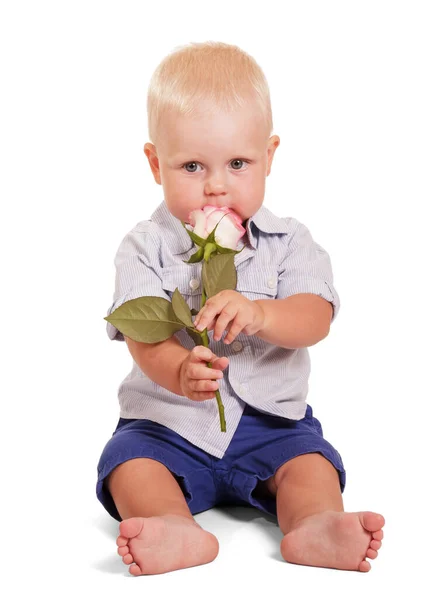 Schöne Kleine Junge Sitzt Und Hält Eine Rose Isoliert Auf — Stockfoto