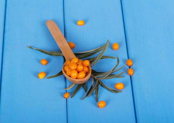 Ripe Sea Buckthorn Berries Spoon Leaves Tree Colored Blue Background — Stock Photo, Image