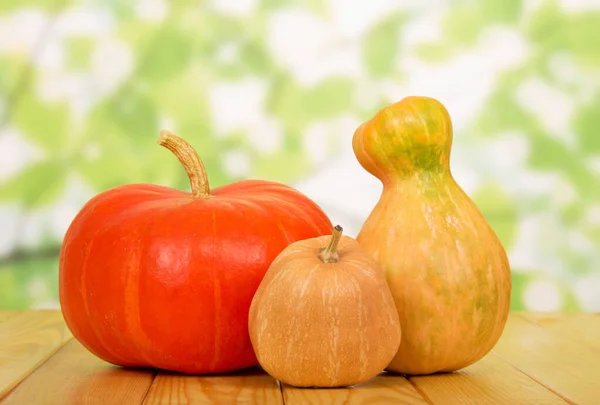 Todo Primer Plano Calabaza Madura Sobre Fondo Verde Abstracto —  Fotos de Stock