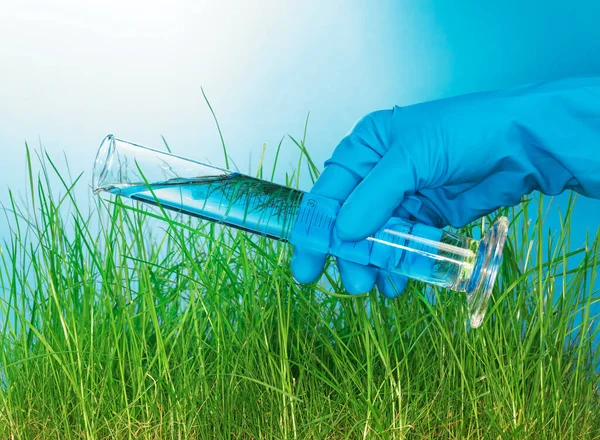 Hand Glove Holds Test Tube Liquid Green Grass Blue Background — Stock Photo, Image