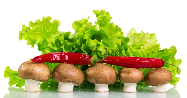 Cogumelos Champignon Castanho Pimenta Vermelha Alface Isoladas Sobre Fundo Branco — Fotografia de Stock