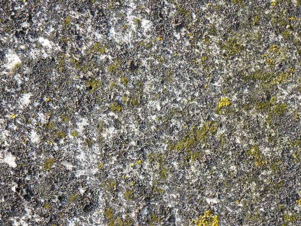 Grunge Concrete Texture — Stock Photo, Image
