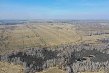 Orman ve tarlaların manzarası, kuru otlar ve ağaçlar. Bahar.