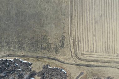 Saha manzaralı kuru çimenler, ilkbahar, nisan güneşli bir gün. Novosibirsk bölgesi, Rusya.