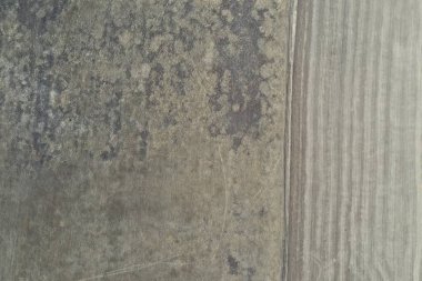 Saha manzaralı kuru çimenler, ilkbahar, nisan güneşli bir gün. Novosibirsk bölgesi, Rusya.