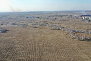 Tarlada kuru otlar. Yukarıdan manzara, bahar, nisan. Güneşli bir gün. Novosibirsk bölgesi, Rusya.