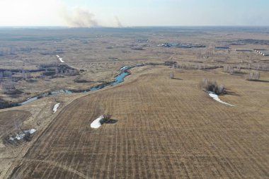 Orman ve tarlaların manzarası, kuru otlar ve ağaçlar. Bahar.