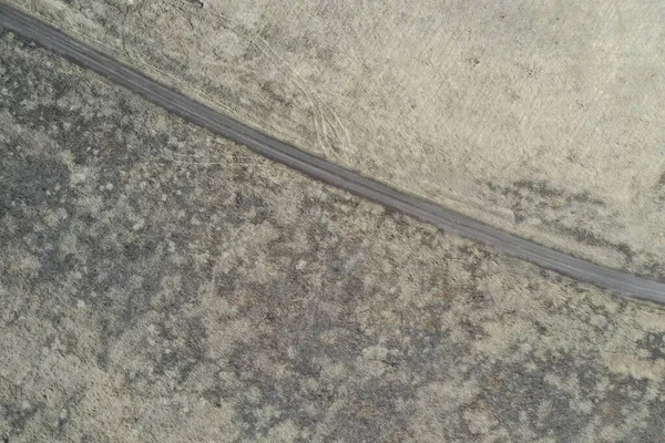 Saha manzaralı kuru çimenler, ilkbahar, nisan güneşli bir gün. Novosibirsk bölgesi, Rusya.