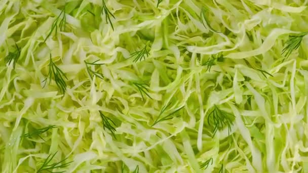 Fresh sliced salad cabbage and dill rotation. healthy salad. top view — Stock Footage Fresh Sliced Salad Cabbage Dill Rotation Healthy Salad Top View Stock Footage