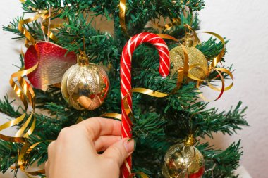 Noel arkaplanında şeker kamışı şekeri tutan.