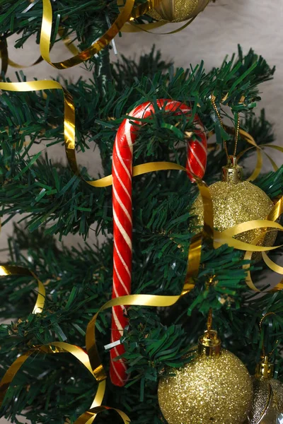 Caña Azúcar Colgando Árbol Navidad —  Fotos de Stock