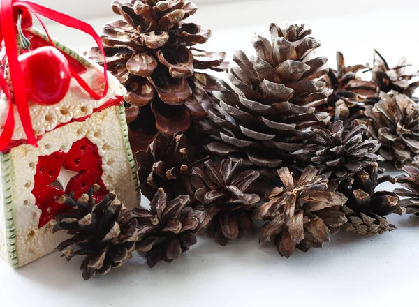 Pine Cones White Background Decorative Element — Stock Photo, Image