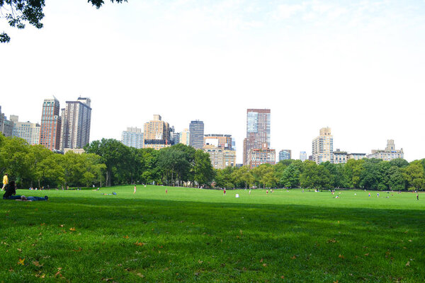 Central Park in New York the USA. Beautiful summer picture of skyscrapers and trees.