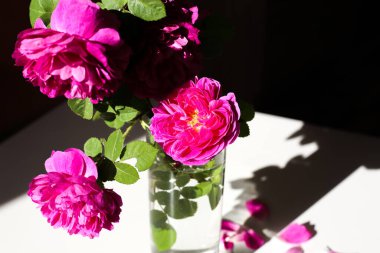 Evde seçici odak buketi pembe şakayık şekilli güller. Yaz kavramı. İç dekoratif öge.