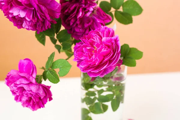 自宅でピンクの牡丹の形のバラの選択的なフォーカス花束 夏のコンセプト 室内装飾要素 — ストック写真