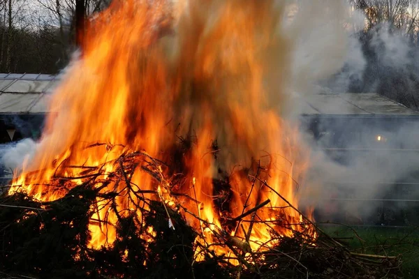 Closeup shot of wood burning in the woods