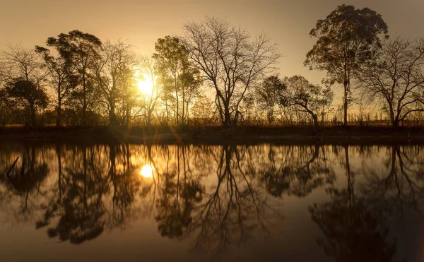Eine Silhouette Von Blattlosen Bäumen Wasser Mit Der Sonne Die — Stockfoto