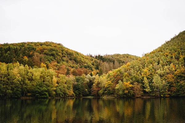 Une Vue Couper Souffle Lac Côté Une Forêt Montagneuse Automne — Photo