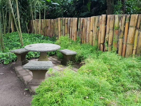Красивий знімок кам'яного столу зі стільцями в саду в оточенні зелених рослин і бамбукового паркану — стокове фото
