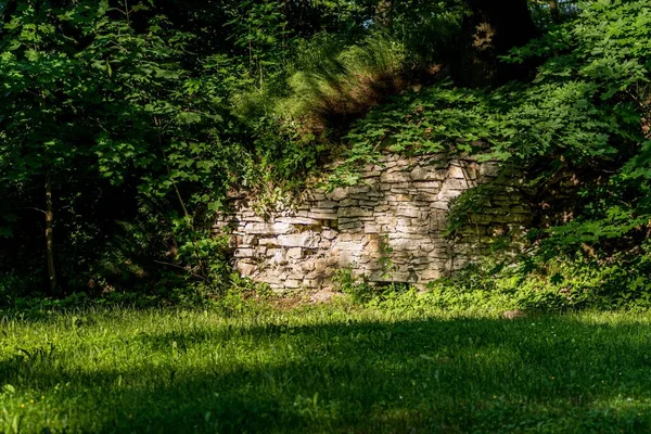 Krásný záběr na travnaté pole se stromy a skalní stěnou v dálce ve dne — Stock fotografie