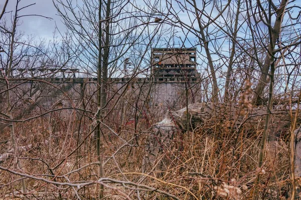 青空の下で茂みや裸の木に囲まれた放棄された建物 — ストック写真