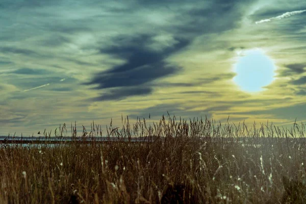 Eine Atemberaubende Landschaft Aus Trockenem Gras Und Der Strahlenden Sonne — Stockfoto