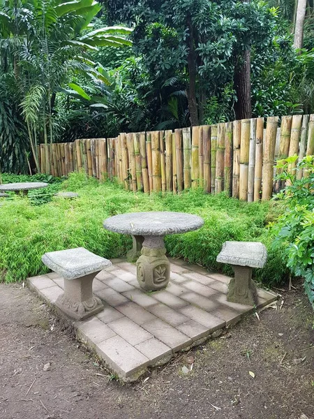 Вертикальний знімок кам'яного столу і стільців в саду з бамбуковим парканом в оточенні зелених дерев — стокове фото