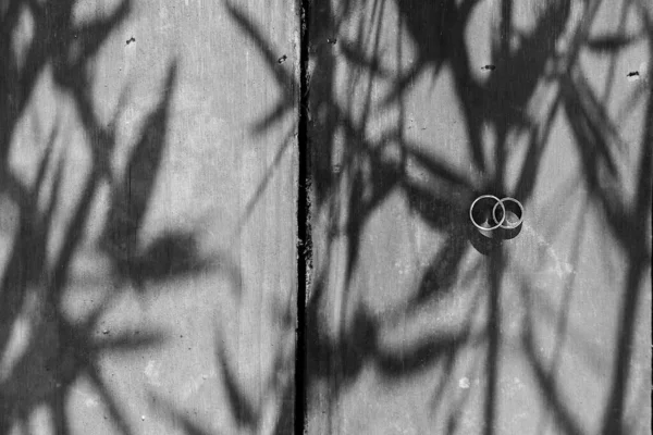 Серый Высокоугольный Снимок Двух Обручальных Колец Наложенных Друг Друга Деревянную — стоковое фото