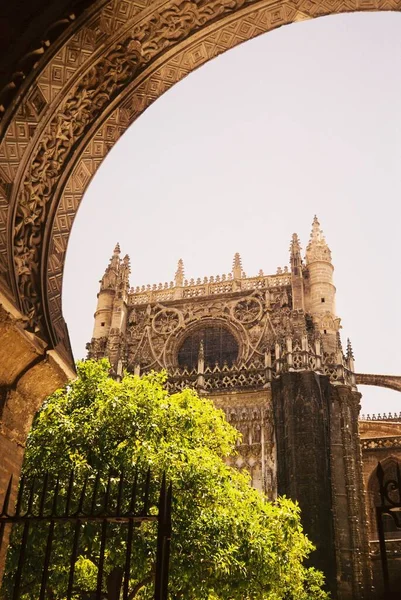 Vertical shot of the Giralda in Seville, Spain near green trees under the clear sky — Stock Photo, Image