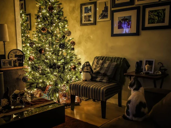 Ілюміноване різдвяне дерево з прикрасами в зручній кімнаті з іграшками та картинами, що висять на стінах. — стокове фото