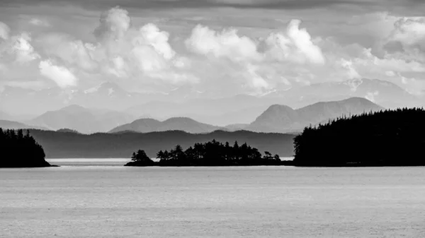 Μια Γκρι Φωτογραφία Του Σιλουέτες Δέντρων Κοντά Στα Μικρά Νησιά — Φωτογραφία Αρχείου