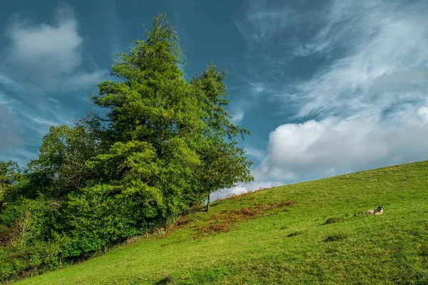 Ağaçlı Tepelerde Güzel Bir Sahne Bulutlu Gökyüzünün Altında Küçük Bir — Stok fotoğraf