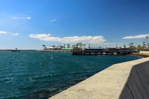 Una Hermosa Toma Una Orilla Del Mar Rodeada Palmeras Bajo — Foto de Stock