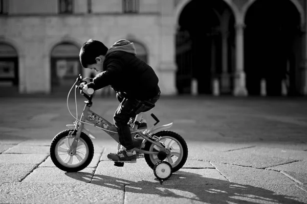 Brescia Italië Feb 2019 Straatwinkel Dingen Mensen Dieren Leven Rond — Stockfoto