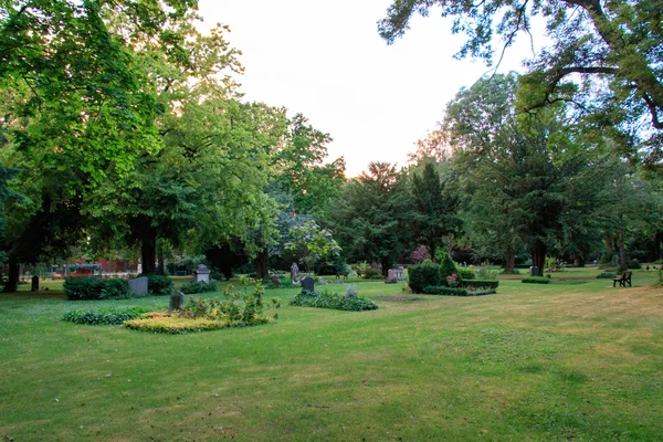 Bela foto de um parque na cidade de Magdeburg com paisagens deslumbrantes de árvores verdes e flores — Fotografia de Stock