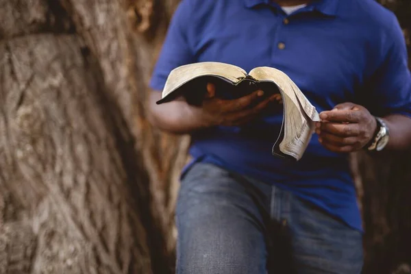 Împușcat aproape de o persoană sprijinită de copac și citind Biblia — Fotografie, imagine de stoc