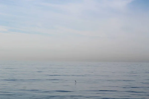 Belo oceano em Long Beach, Califórnia — Fotografia de Stock