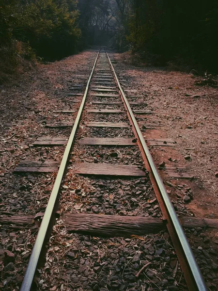 Вертикальный снимок железной дороги, идущей в лес — стоковое фото