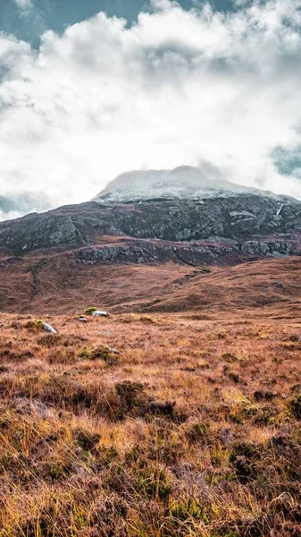 Arkaplan Altında Karlı Bir Tepe Olan Turuncu Renkli Bir Tarlanın — Stok fotoğraf