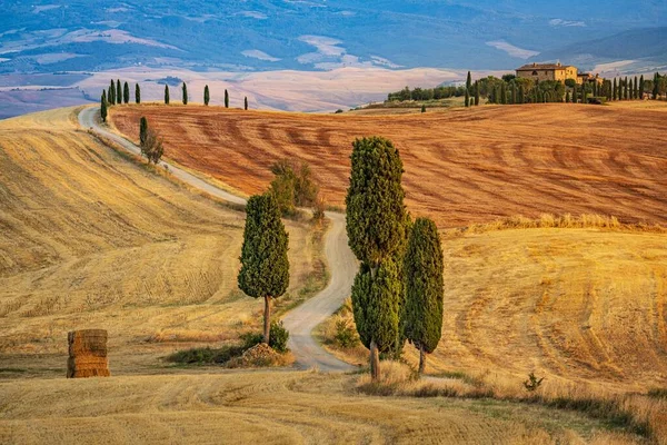 Fascinating scenery of a valley with trees and a path leading to an isolated house in the background — Stock Photo, Image