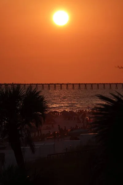 Colpo Verticale Del Bellissimo Tramonto Riflesso Nel Mare Con Palme — Foto Stock