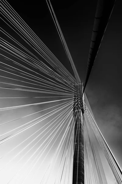 Tiro vertical a escala de grises de cables de un puente bajo el hermoso cielo — Foto de Stock