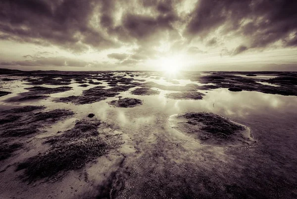 Krásný Šedivý Záběr Pobřežních Mokřin Pod Zamračenou Oblohou Zářící Oblohou — Stock fotografie