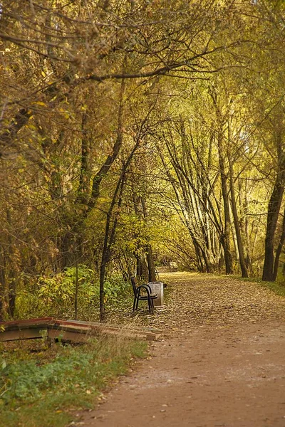 Plan vertical d'une belle route traversant le parc Rostrkino entouré d'arbres étonnants — Photo