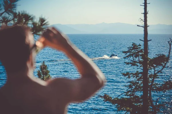 A person drinking cold beer and looking at the motorboat near the sea on a sunny day — Stock Photo, Image