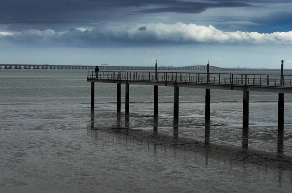 Een Persoon Die Een Pad Boven Zee Staat Met Een — Stockfoto